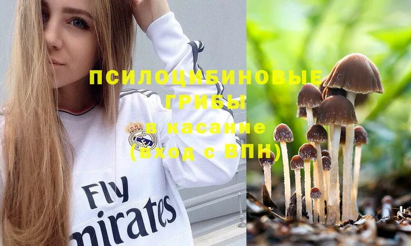 Галлюциногенные грибы Psilocybe  Покров 